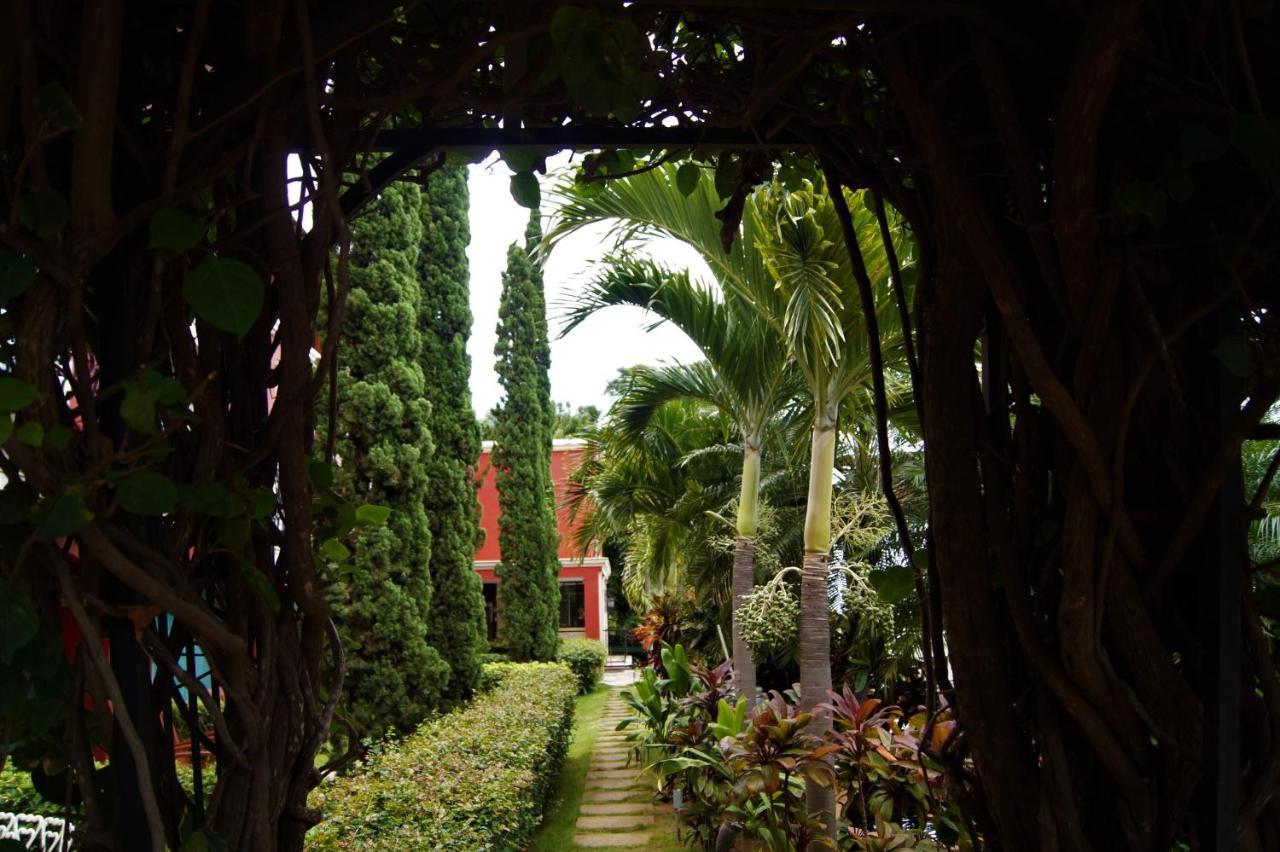 Los Altos Apartments & Studios Managua Bagian luar foto